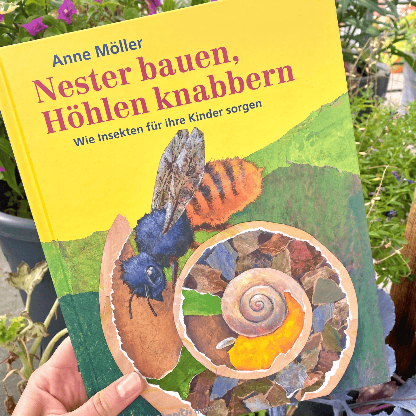 
                  
                    Buch: Nester bauen, Höhlen knabbern
                  
                