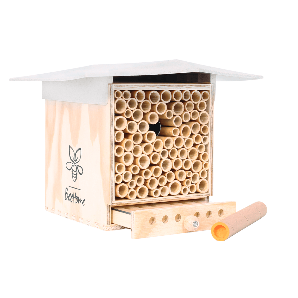 
                  
                    BeeHome Observer
                  
                