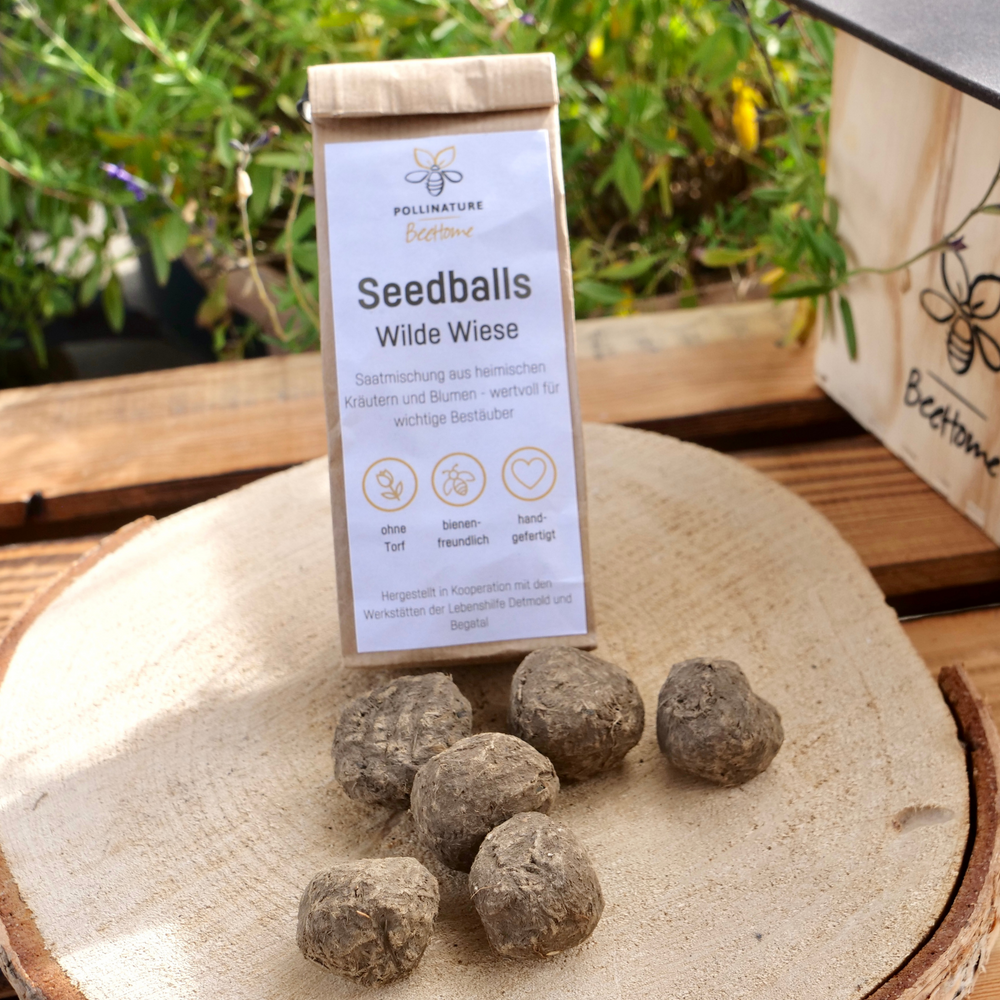 
                  
                    6 Seedballs “Wilde Wiese”
                  
                