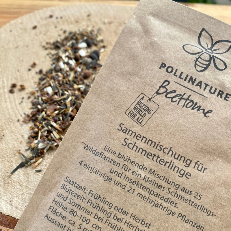 Samenmischung für Schmetterlinge 🦋